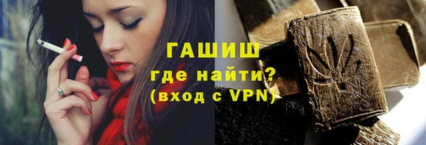 индика Богородск
