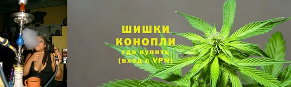 индика Богородск