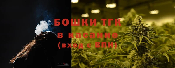 индика Богородск