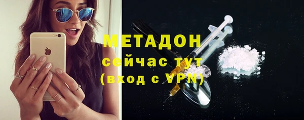 индика Богородск