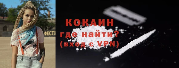 индика Богородск
