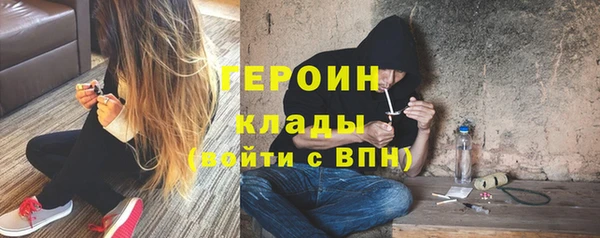 индика Богородск