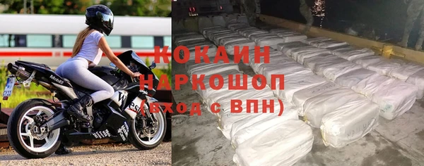 индика Богородск