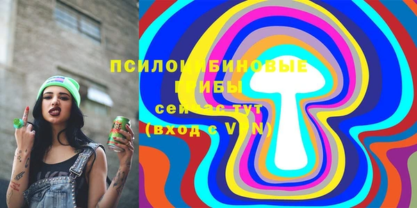 экстази Богородицк