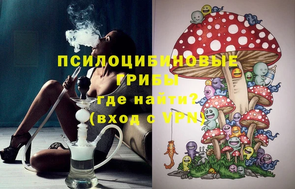 jwh Медвежьегорск
