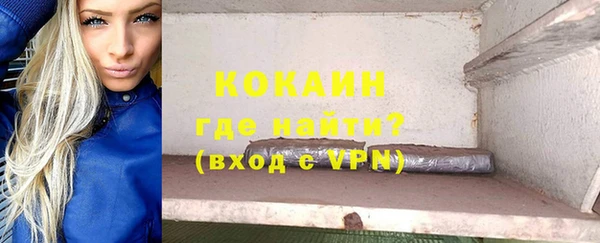 индика Богородск