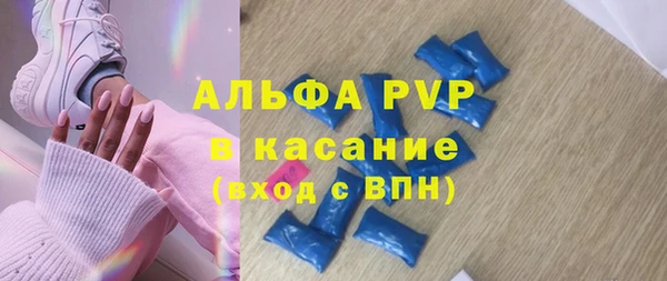 индика Богородск
