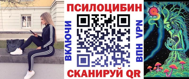 Галлюциногенные грибы Psilocybe  Назарово 